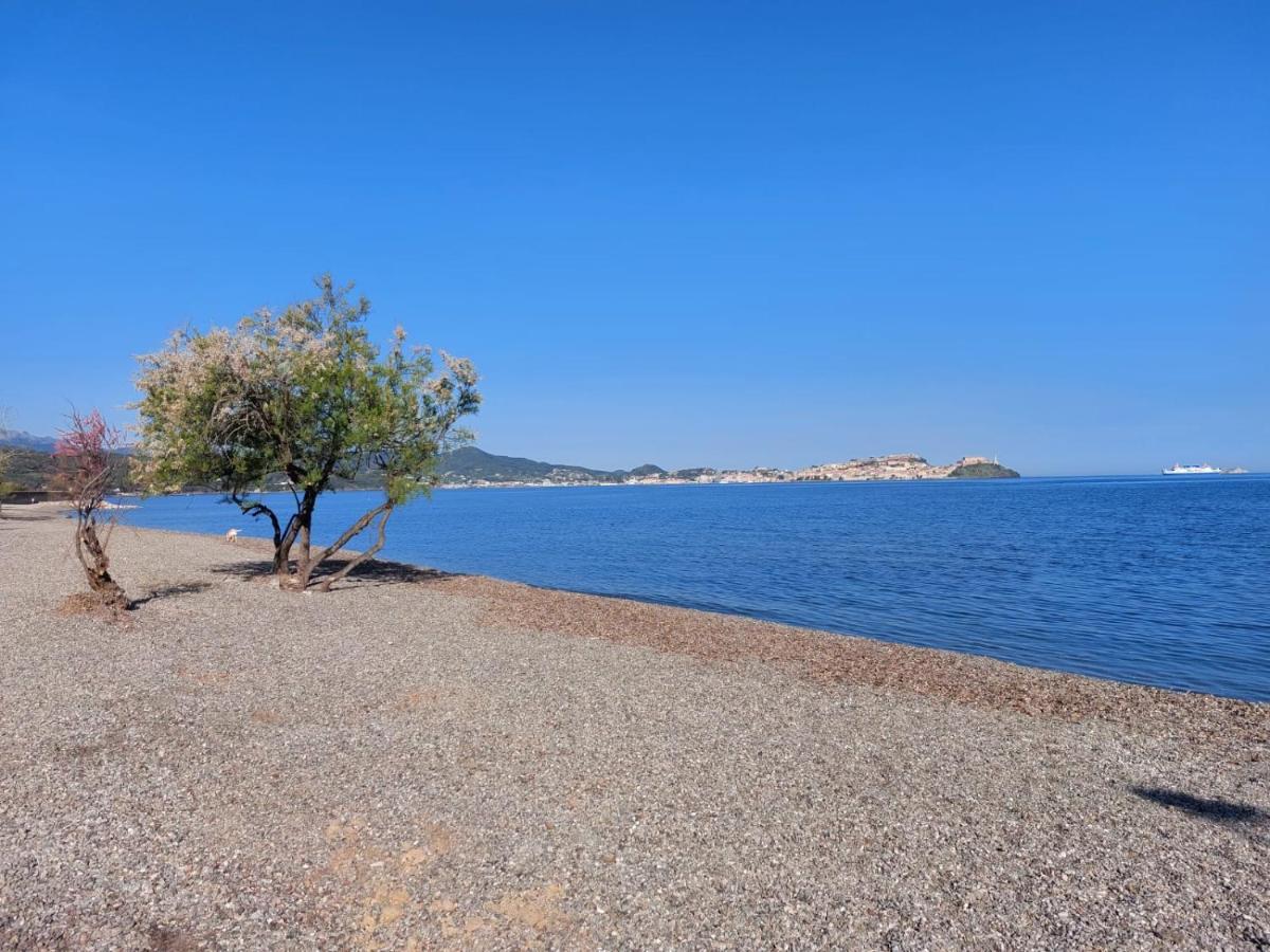 Villa Giolu Портоферайо Екстериор снимка